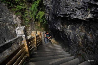 Couple Living on Cliff Protects Environment for 20 Years