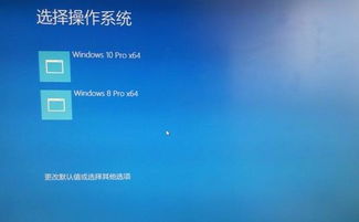 老毛桃win10下安装双系统