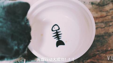 猫咪睡觉超级香,竟然做梦还吧唧嘴流口水