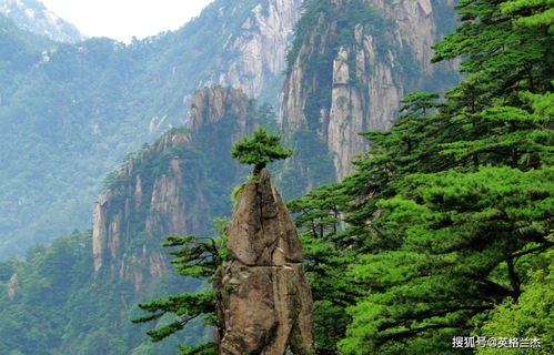 法国游客到安徽 黄山 观光,景区门票上百元,直言消费不低