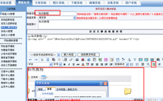 名站网址ip查询网站网址