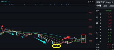 为什么在潜龙上显示中国石化市盈率为28而通达信上中国石化市盈率是23倍呢?