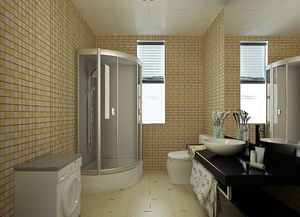 卫生间不建议装白色瓷砖(卫生间用白色的瓷砖装修图片)