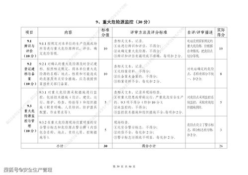 安全生产标准化自评报告 参考模板 