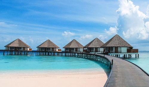 马尔代夫采用虚拟方式重启旅游业 – 执惠