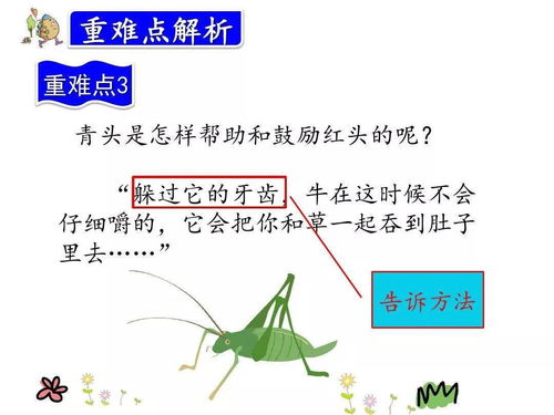 策略性词语解释,牛关策什么意思？