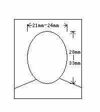 护照照片要求是什么