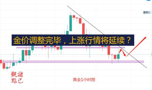 黄金.铂金价格还会上涨吗?目前价格是多少?