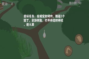 捣蛋鹅冷知识(捣蛋鹅全流程)