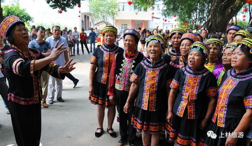 广西南宁上林镇圩瑶族乡