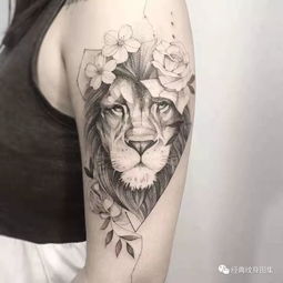 狮子纹身素材 