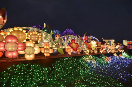 2000张阜阳花博园彩灯庙会门票免费送 追梦古颍州,幸会新阜阳 