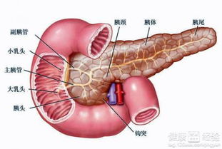 急性胰腺炎愈后作胆囊切除术后可以吃辣椒吗