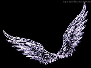 谁有天使和恶魔的翅膀 