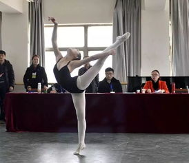 北京舞蹈艺术学院录取分数线