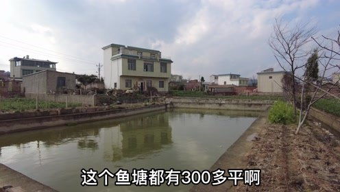 云南农家大院,占地1800平,种满了果树,带个大鱼塘,800一月