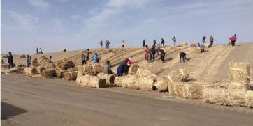 沙漠公路风沙土路基风蚀破坏试验探究