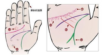 手相 感情线上出现这4个字,婚姻波折难聚头 