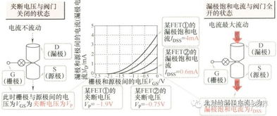 什么是FET?