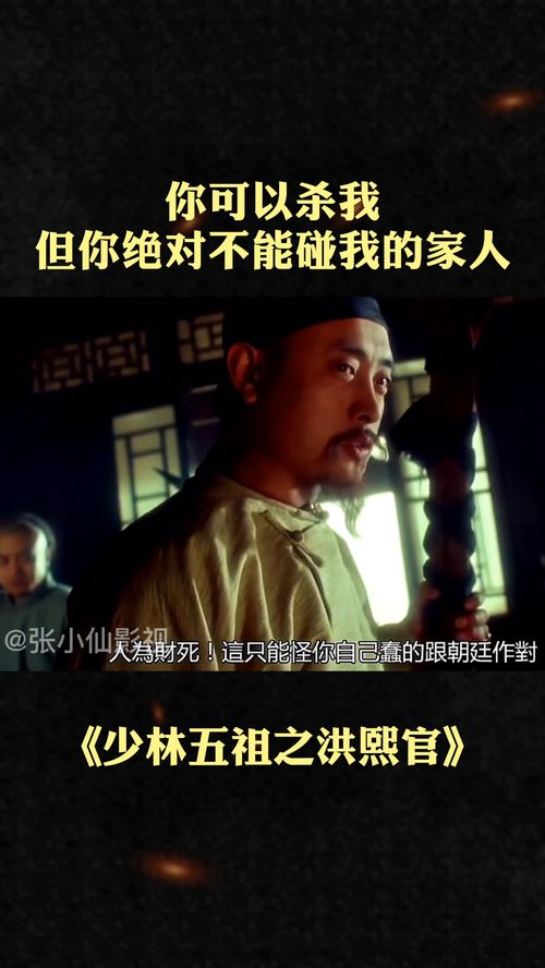 李连杰饰演的 洪熙官真的是超级经典好看 我的观影报告 少林五祖之洪熙官 