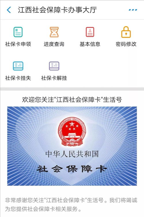 社会保障卡查询个人账户怎么查询(社会保障卡查询官网)