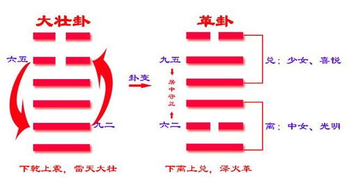 君子豹变,其文蔚也 这话是啥意思 莫文蔚于中取名有何讲究