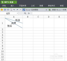 wps或者excel怎样绘制斜线表头