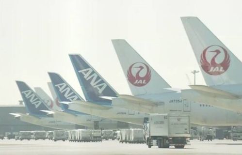 援助航空业 日本政府决定2022财年继续减征费用