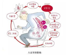 报名 专家科普讲座之二 如何预防与治疗腰痛 