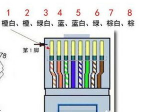 一根网线接一个网络电视和一个电话可以吗 