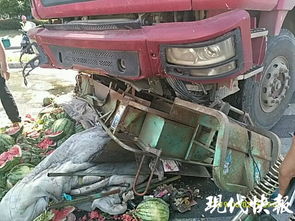 苏州三轮车遭大货车撞击 车主西瓜堆中捡回一命