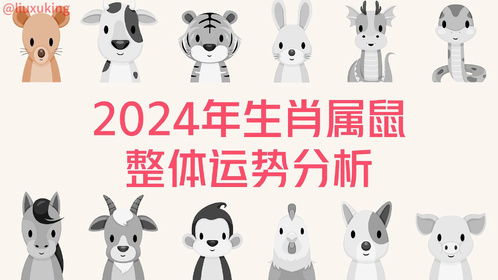 生肖2024年运势完整版_运势查询2024年免费