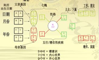 数字能量学联合密码213解析 万荣峰