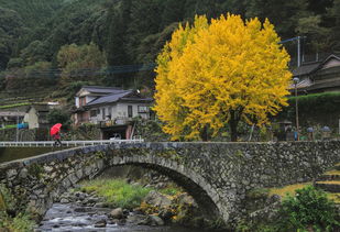  在承德去西安旅游期间，应该如何安排行程？