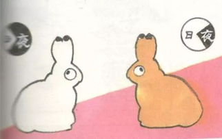 你知道家兔和野兔的区别吗 