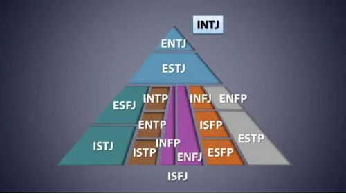 星座 塔罗 MBTI,你的人生不能被它们定义