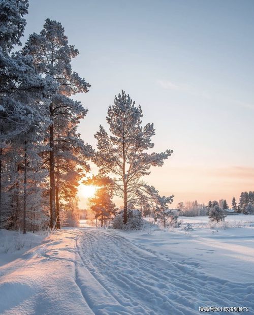 芬兰极夜雪景 搜狗图片搜索