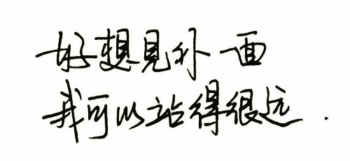 词语解释不负众望;努力不会白费的成语？