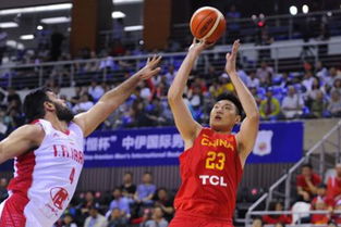 今晚辽宁对上海体育篮球直播