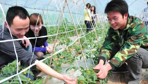 打乱重分 农村现有土地进行重新分配,可行吗 官方回复来了