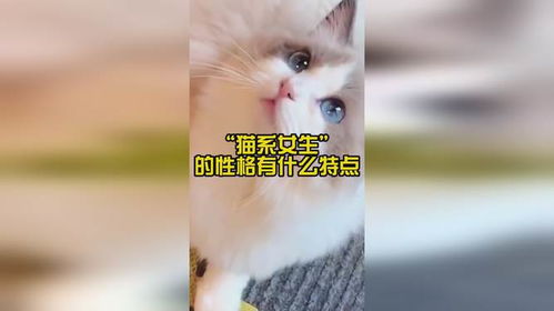 猫系女生 的性格有什么特点