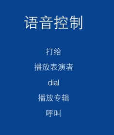 苹果手机来电话有语音说出来电姓名怎么设置 