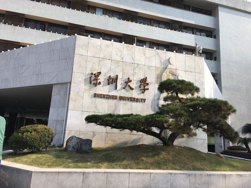 深圳大学电子信息工程在哪个校区