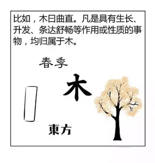 图解阴阳 五行的相生 相克,相乘 相侮 收了吧