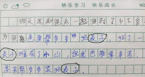 开心的一天生活小常识作文(关于开心的一天的作文300字)