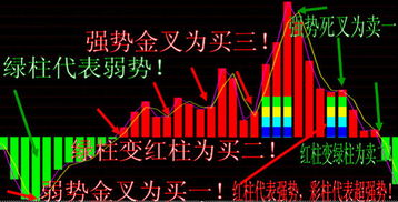 T+0怎样算赚啊？