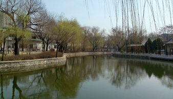 阳春3月游天津人民公园 下