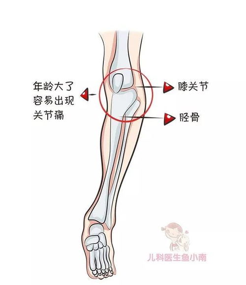 想要宝宝腿型好,以后能变笔直大长腿,这样做宝宝腿型更漂亮