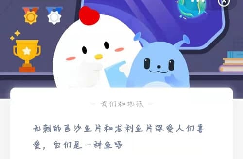 无刺的巴沙鱼片和龙利鱼片深受人们喜爱,它们是一种鱼吗