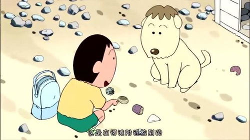 蜡笔小新 阿呆遇到了一只和他一样的狗狗,也喜欢收集石头 